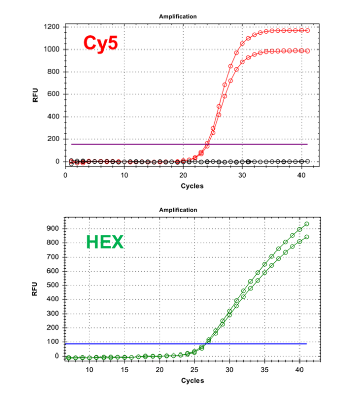 Example of TaqMan PCR Positive (Cy5) result.