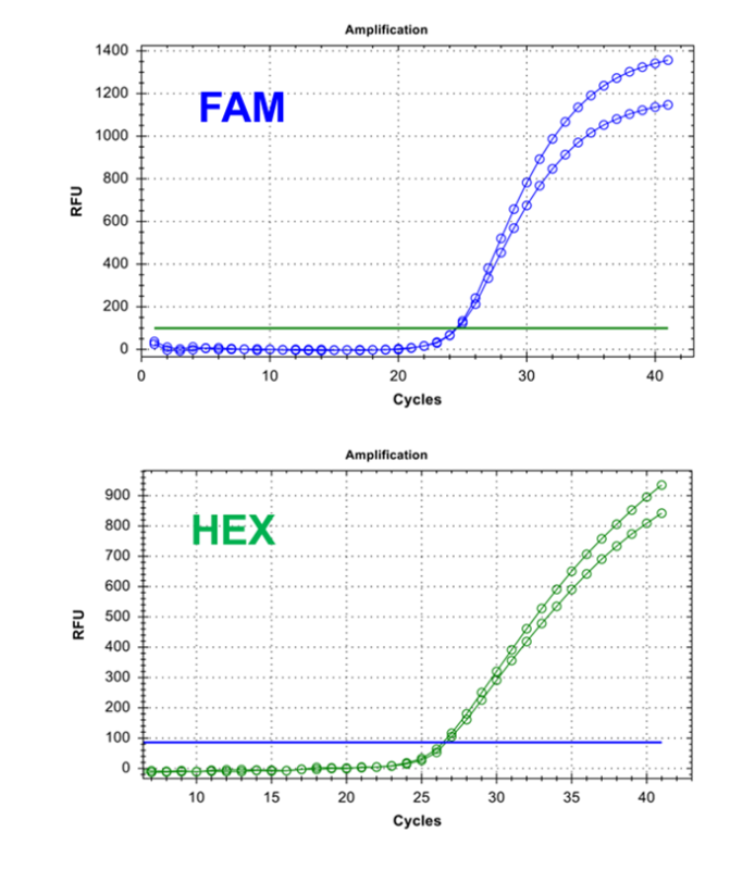 Example of TaqMan PCR Positive (FAM) result.