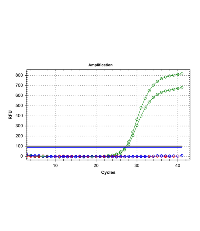  Example of TaqMan PCR Negative result. 