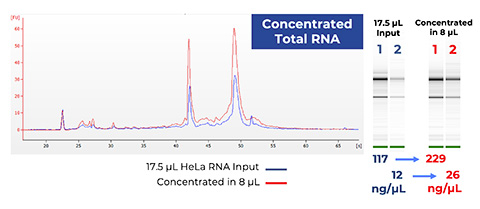 Figure 7. High Recovery of Concentrated RNA