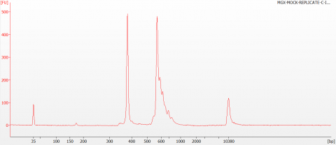 Bioanalyzer traces of ITS1 libraries generated by indexing PCR, cleaned and run on a high sensitivity DNA chip.