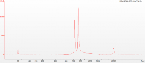 Figure 3. Bioanalyzer traces of ITS2 libraries generated by indexing PCR, cleaned and run on a high sensitivity DNA chip.