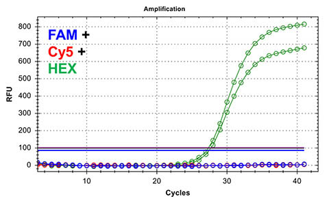 Chlamydia/Neisseria gonorrhoeae TaqMan PCR Kit Figure 4