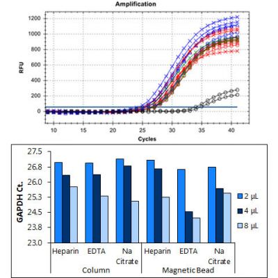 Figure 17. Detection of GAPDH from blood samples preserved in three different anticoagulants (Heparin: red, EDTA: green and Na Citrate: blue)