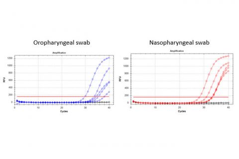 Figure 3. Stability of DNA 