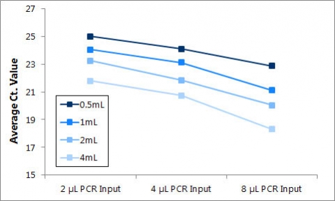 Figure 12.  Detection of the human 5S gene