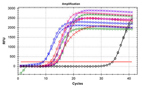 Figure 5. High Plant DNA Quality 