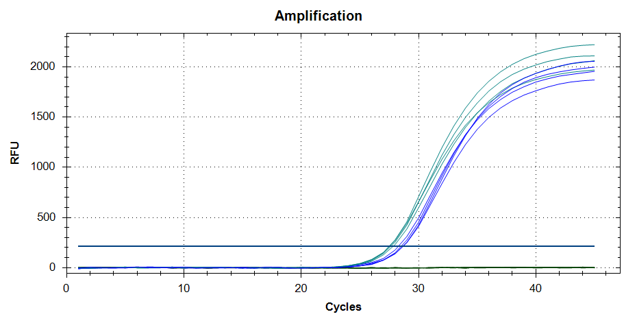 Figure 6. qPCR curves showing amplification of the COVID N2 transcript from Norgen's Total Nucleic Acid Preservative