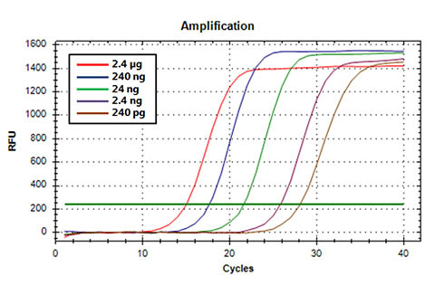 Figure 9. Concentration of miRNA