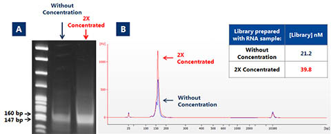 Figure 10. Concentration of RNA prior to Next Generation Sequencing (NGS) applications