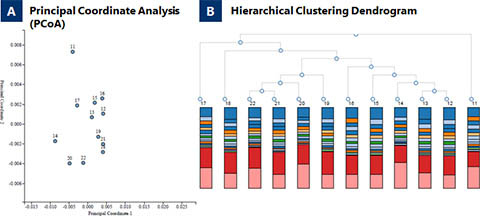 Figure 4. Illumina MiSeq 16s rRNA metagenomics data from saliva