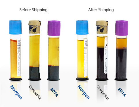 Figure 2. No plasma volume loss after shipping/transportation