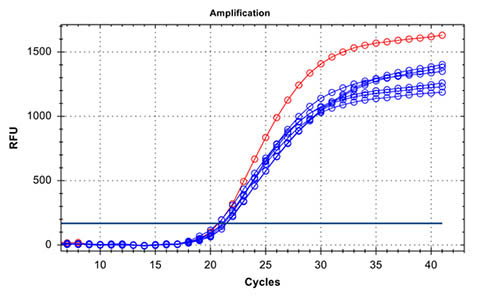 Figure 9. High Quality DNA confirmed by Real-time PCR