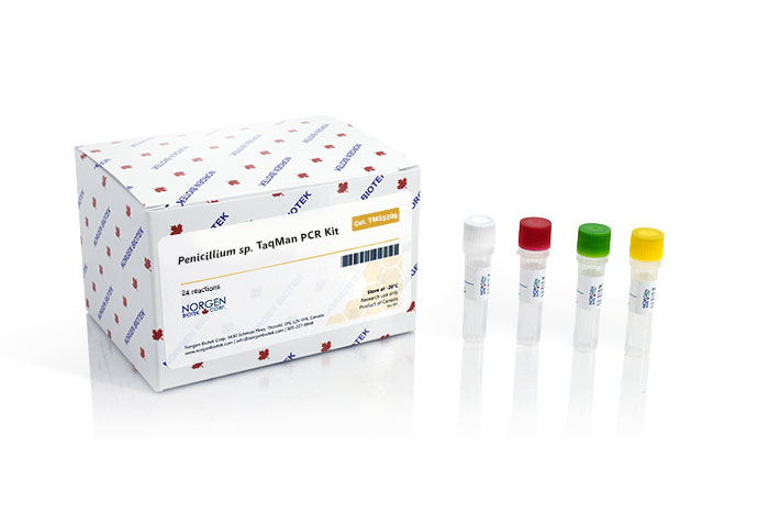 Penicillium sp. TaqMan PCR Kit