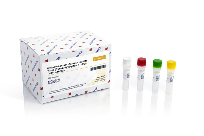 CChMVd Detection Kit (100 reactions)