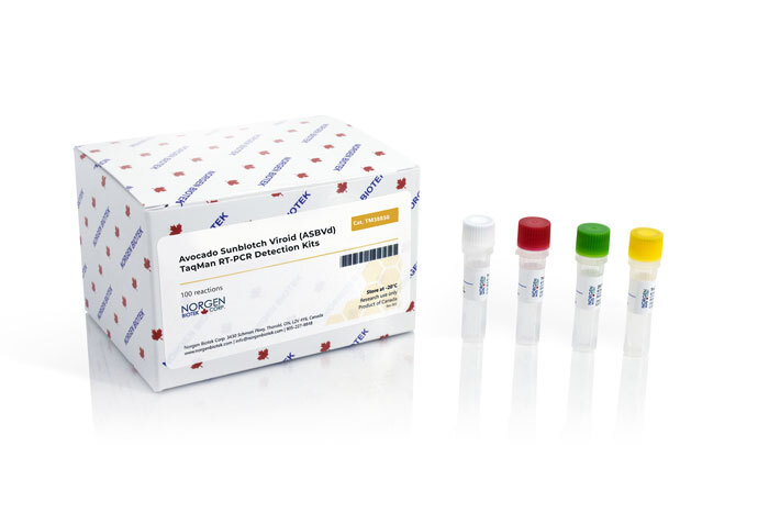 ASBVd Detection Kit (100 reactions)