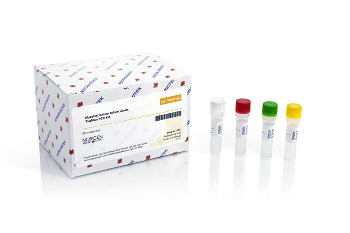 Mycobacterium tuberculosis Detection Kit (100 reactions)