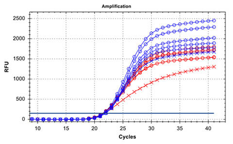 Figure 3. High DNA quality was confirmed by Real-time PCR 