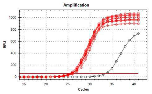 Figure 2.  Consistent and High Quality DNA