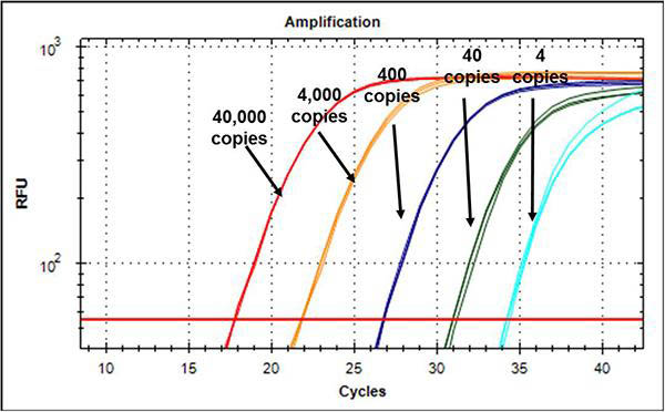 Staphylococcus aureus Quantified Bacterial DNA Standard Figure 1