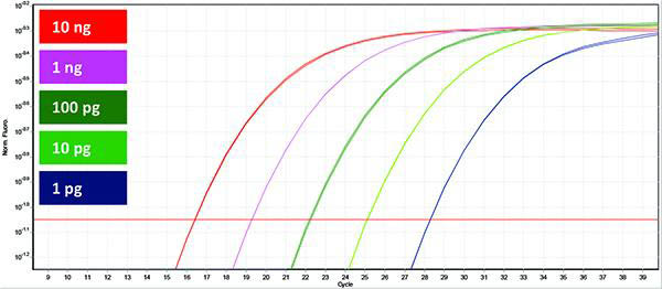 Figure 2. TruScript Reverse Transcriptase and Kits 