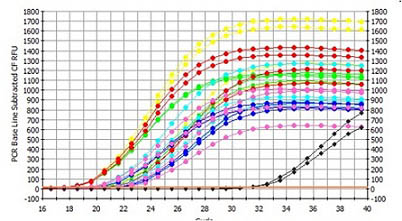 Figure 2.  Isolation and Detection of DNA from Different Urine Volumes