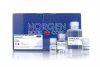 Plasma/Serum cfc-DNA Advanced Purification Kit