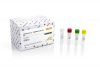 Legionella sp. Detection Kit Dx