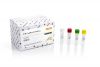 H1N1 TaqMan RT-PCR Kit Dx 