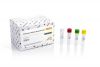 Clostridium difficile Detection Kit (100 reactions)