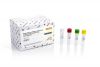 Grapevine Red Blotch-Associated Virus PCR Detection Kit (100 reactions)